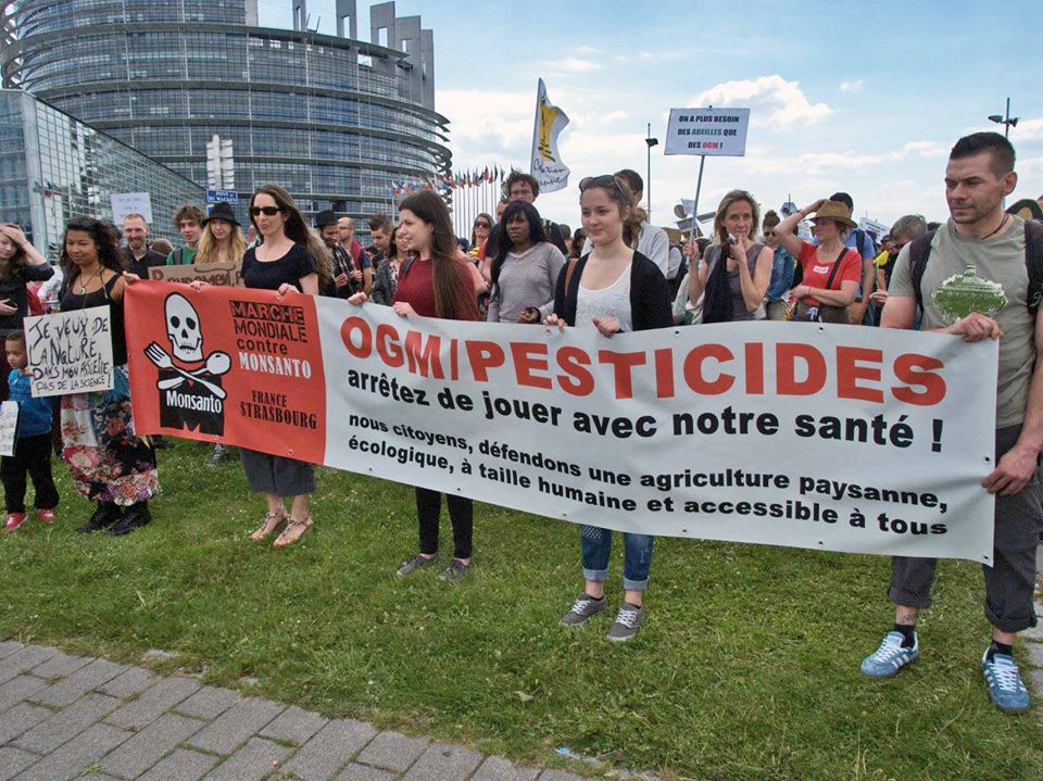 OGM_marche_contre_MONSANTO.jpg